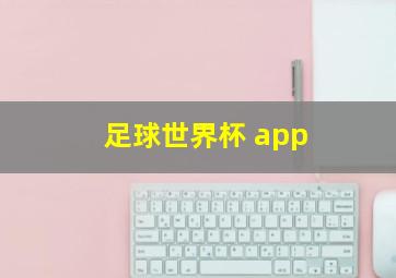 足球世界杯 app